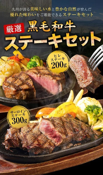九州産黒毛和牛 厳選ステーキセット ヒレ200g サーロイン300g ステーキ肉 食べ比べ まとめ買いフードロス 食品ロス 削減支援 送料無料