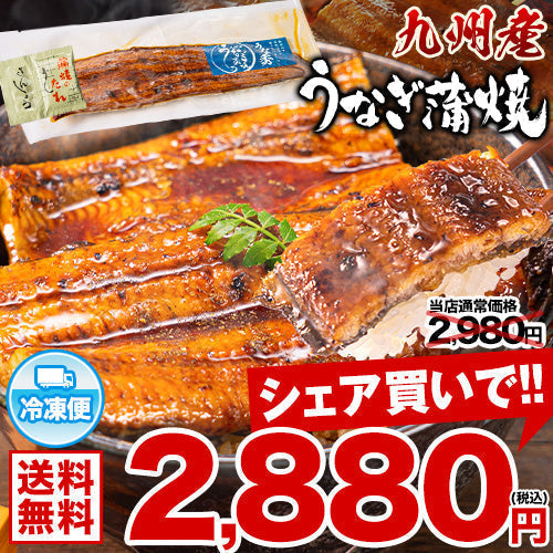 【送料無料】九州産 うなぎ 蒲焼 ウナギ 鰻 蒲焼 国内産 九州 土用の丑の日 お中元 ギフト タレ＆山椒　《7-14営業日以内に出荷予定(土日祝日除く)》