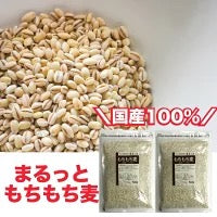 【3人シェア買いでお得】もち麦 国産 1kg 送料無料 大麦 まるっともち麦 うるち性 国産 1kg (500g×2袋) ネコポス 送料無料