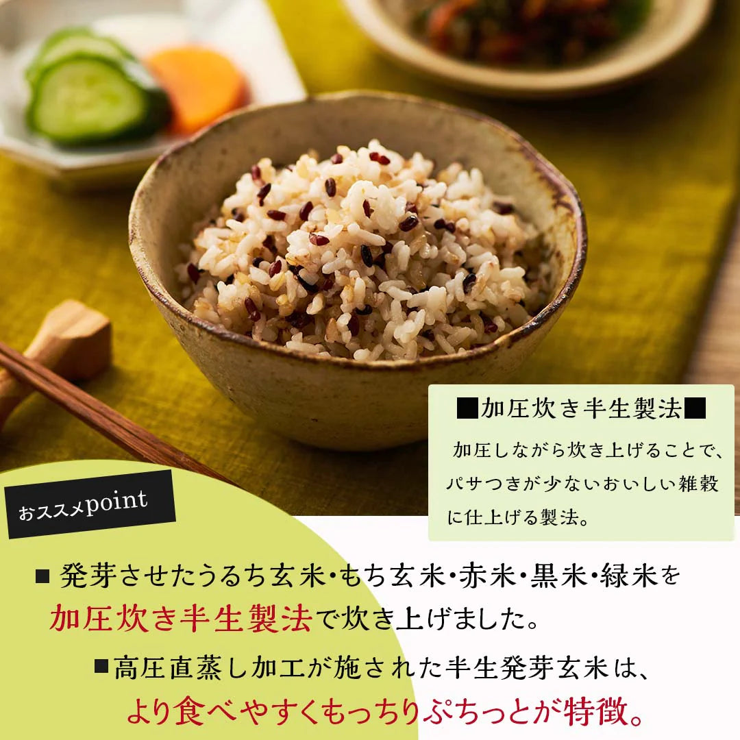 ご飯パック 発芽玄米ごはん 48個セット 160g おくさま印 お米 レトルト 食品 無添加 国産 レンジで簡単 温めるだけ ギフト 引っ越し 挨拶 出産 内祝い 母の日 父の日 お中元 お歳暮 結婚 還暦 寒中 暑中見舞い お年賀 送料無料
