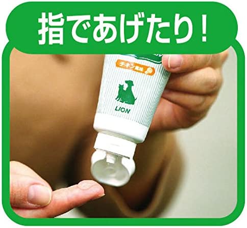 ライオン (LION) ペットキッス (PETKISS) 歯みがきジェル リーフの香り 40g