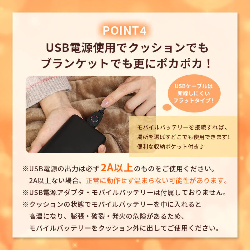 TOHO 2WAY 電気毛布 電気ブランケット 110x70cm 洗える USB 畳んでクッション広げてブランケット USB 洗える ひざ掛け フランネル RLC-CHB01 RELICIA