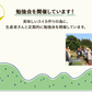 【予約販売7月下旬より順次出荷】尾花沢スイカ １玉 山形県産 4L 5L スイカ すいか 送料無料 ギフト お取り寄せ 産地直送  kkb-008
