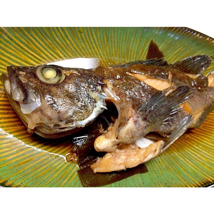 北海道産 天然クロソイ 600〜1kg 1尾