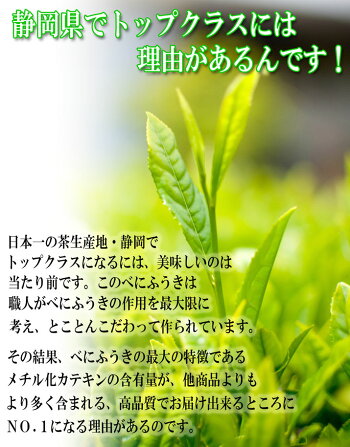 0.5g×50包 べにふうき茶 粉末スティック