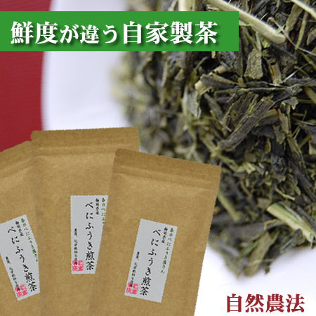 鮮度が違う自家製茶　自然農法のべにふうき茶 緑茶（煎茶）100g x ３袋　夏に美味しい春野産のべにふうき 春のべにふうき屋さん