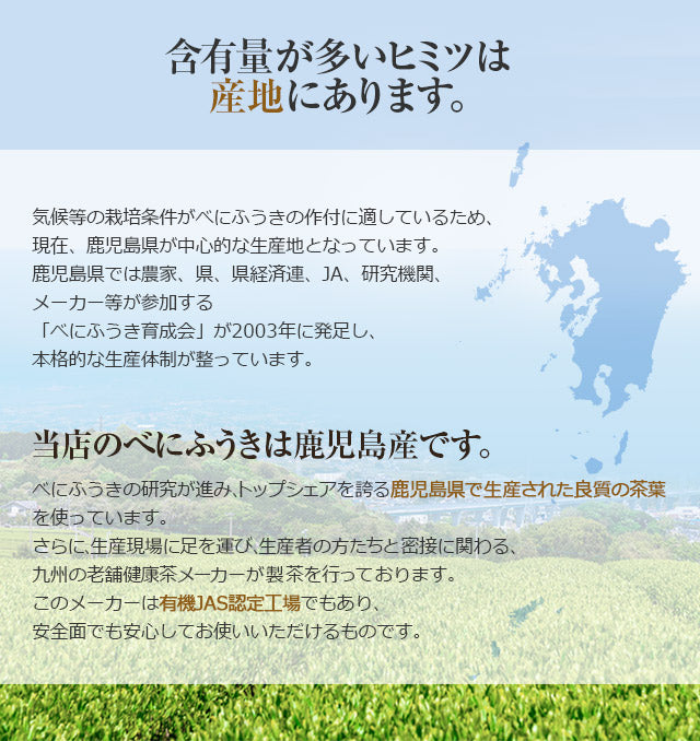 べにふうき茶 粉末 パウダー スティック 30本 国産 m3 【送料無料】 【 粉末緑茶 粉末茶 鹿児島県産 花粉の季節に 紅富貴 メチル化カテキン 】