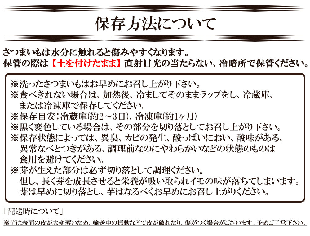 紅はるか さつまいも 5kg