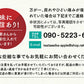 早割【7月上旬発送/予約】さくらんぼ 佐藤錦 仁木 余市産 秀品 LMサイズ 800ｇ