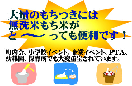 もち米 餅米 無洗米 九州産　もち米30kg（5kg6個セット） 5kg 送料無料