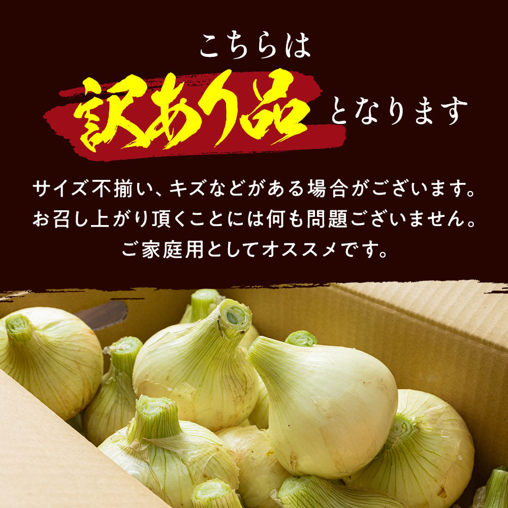 【ゲリラセール】淡路島新たまねぎかくし玉【訳あり】5kg ＃かくし玉訳あり5Ｋ＃たまねぎ 淡路島 玉ねぎ 玉葱 新玉ねぎ