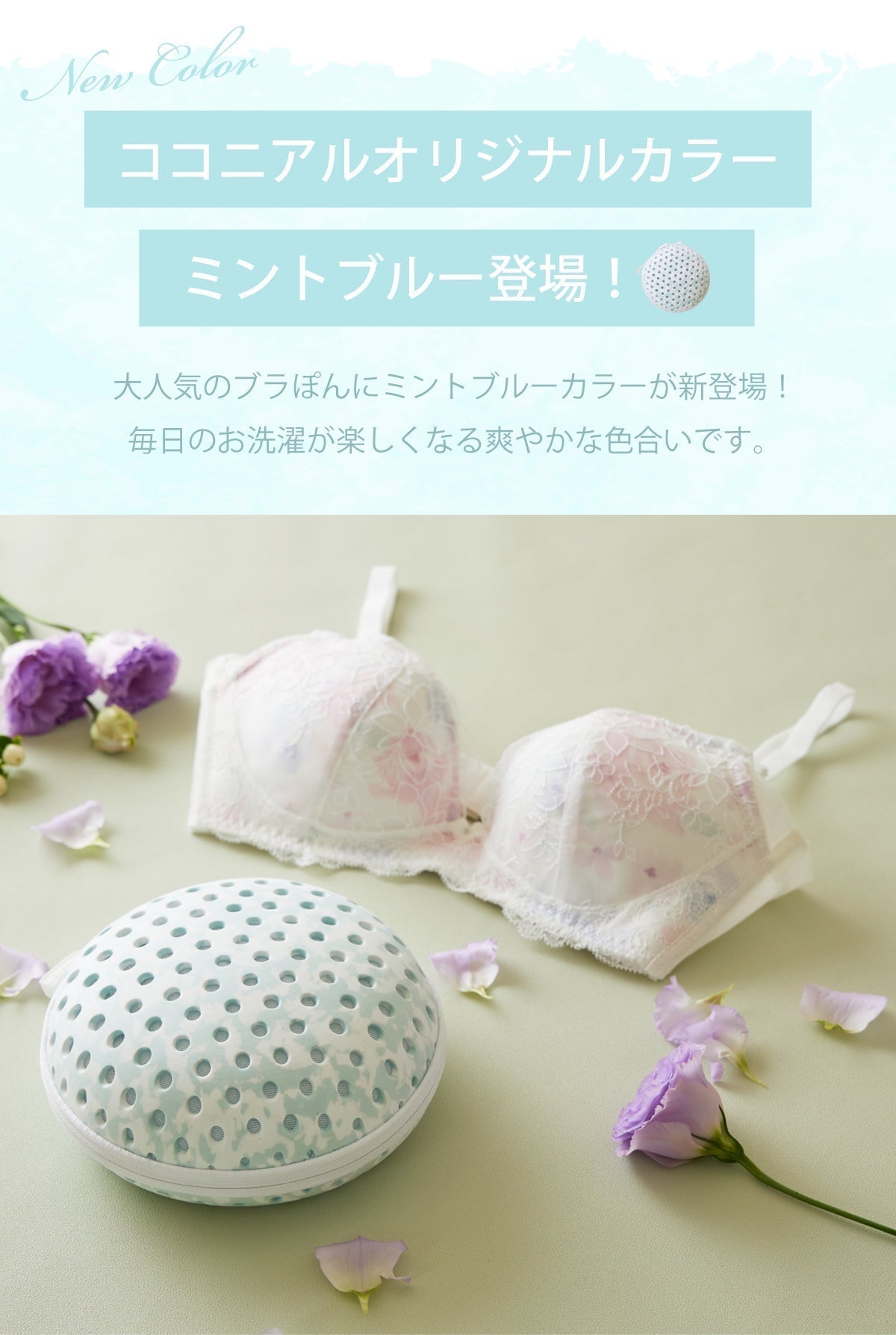 【5人シェア買いでお得】ブラぽん プレミアムブラジャーネット ミントブルー 洗濯ネット ブラネット PRBR7023 | マスク 型崩れ防止 型崩れ対策 旅行 下着 帰省 トラベルケース ブラネット 旅行用 洗濯 ワイヤー ぶらぽん ブラポン