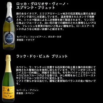【送料無料】金賞・シャンパーニュ製法入り 辛口スパークリングワイン 12本セット［常温］【4〜5営業日以内に出荷】[W][S]