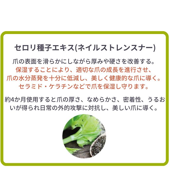 【5人シェア買いでお得】大人ネイルビターコート 7ml