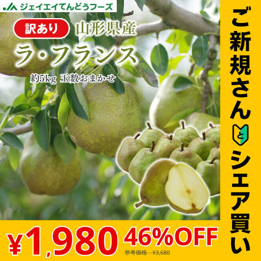 【2/28までに発送予定】【ご新規さんとシェア買い】訳あり 果物 ラフランス 山形県産 約5kg(玉数おまかせ) 送料無料 一部地域は別途送料追加 フルーツ rf21