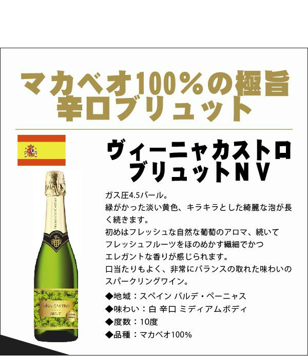 【送料無料】キングオブ スパークリングワインセット【白 辛口6本/白甘口1本/ロゼ辛口2本/ランブルスコ1本】【北海道・東北・四国・九州・沖縄県は必ず送料がかかります】
