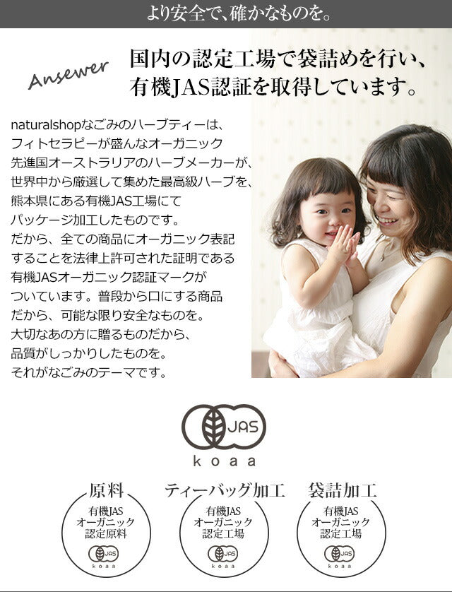 【※選択肢商品】有機JAS オーガニック・ブレンド・ルイボスティー お試し ティーバッグ 4個セット m2 【送料無料】お試しセット ハーブティー ブレンド茶 お茶 アイスでも美味しい プチギフト ルイボスティ ルイボス茶