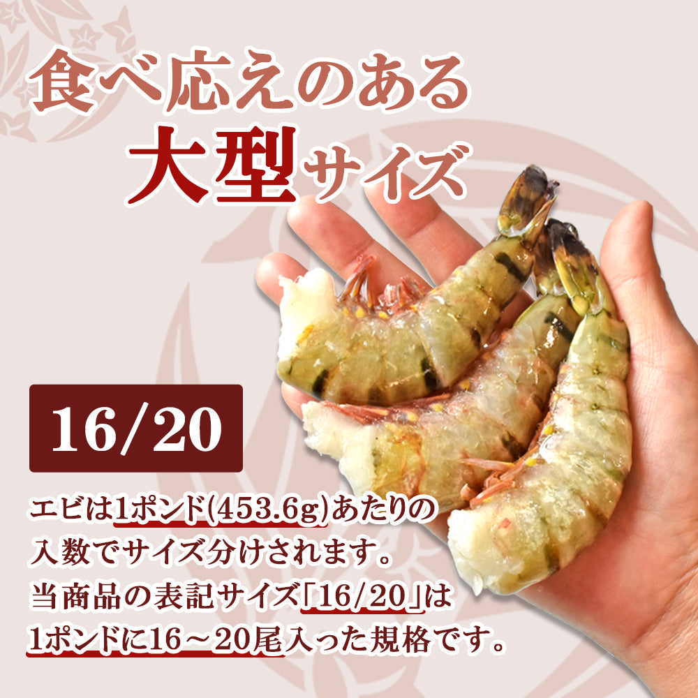 500g 特大ブラックタイガー 無頭 殻付き