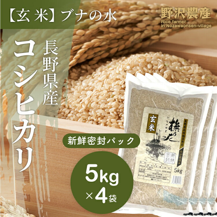 新鮮密封パック 長期保存 令和3年産 お米 玄米 20kg 特別栽培米 コシヒカリ 5kg × 4袋 ブナの水 特A産地 長野県産 北信産 送料無料  米 こしひかり 20キロ ギフト