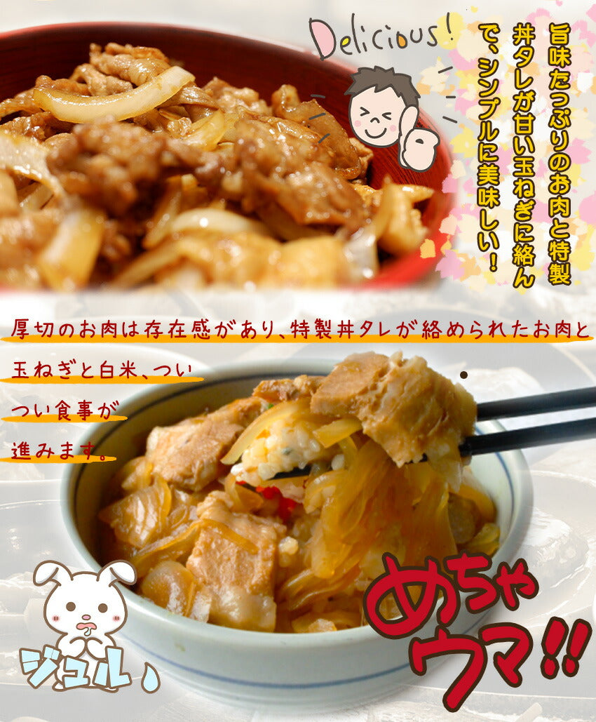 豚丼の具(10パック)