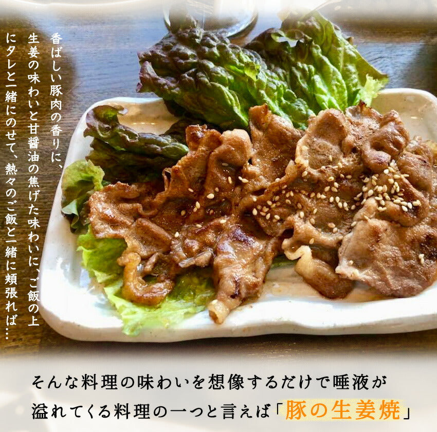 豚生姜焼(10パック)