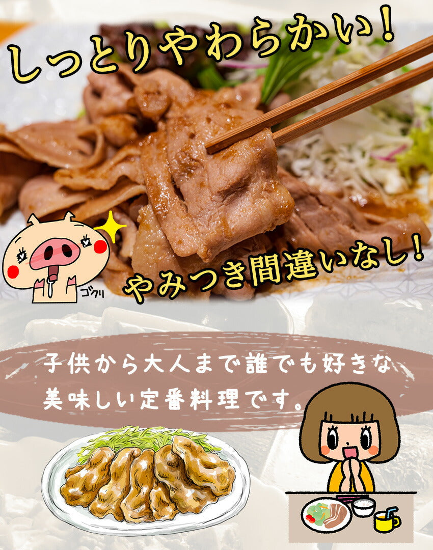 豚生姜焼(10パック)