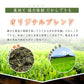 200g  茶葉 正喜撰 日本茶 お茶 静岡県産