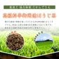 200g   ほうじ茶 茶葉 最高級 静岡県産