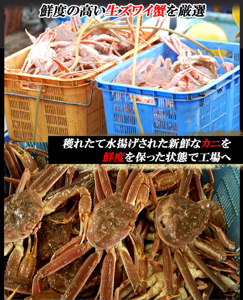 500g 生冷ズワイ蟹南蛮ポーション