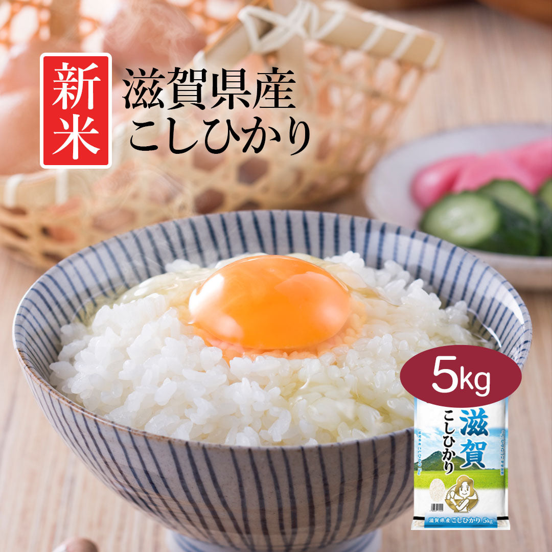 米 精米 滋賀県産 こしひかり 5kg 令和5年産 新米 お米 白米 おくさま印 国産 食品 ギフト 引っ越し 挨拶 出産 内祝い 母の日 父の日 お中元 お歳暮 結婚 快気 還暦 香典返し 寒中 暑中見舞い お年賀 送料無料