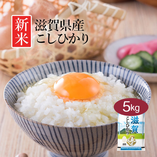 米 精米 滋賀県産 こしひかり 5kg 令和5年産 新米 お米 白米 おくさま印 国産 食品 ギフト 引っ越し 挨拶 出産 内祝い 母の日 父の日 お中元 お歳暮 結婚 快気 還暦 香典返し 寒中 暑中見舞い お年賀 送料無料