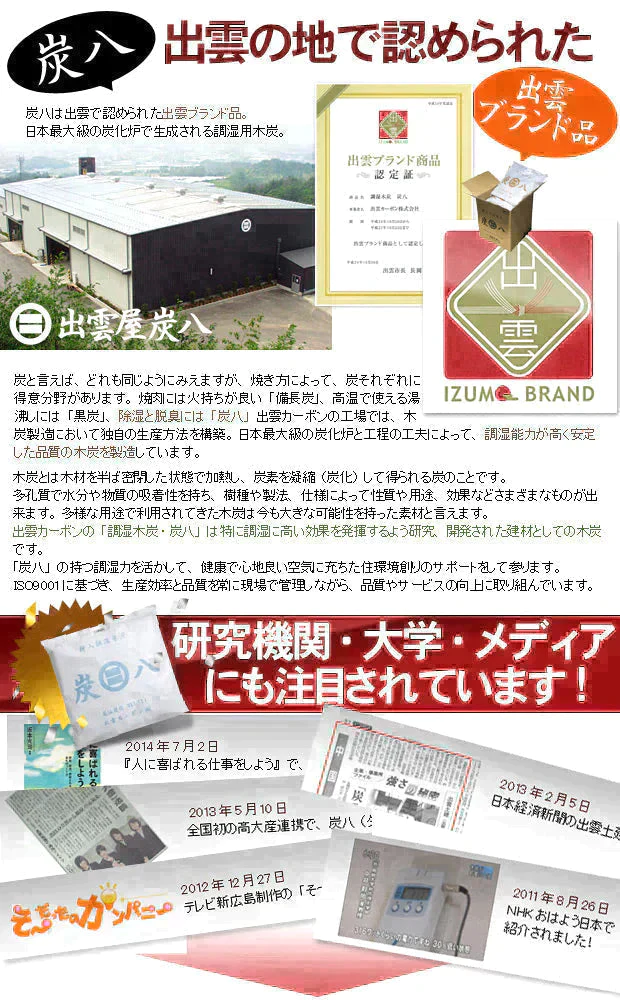 調湿木炭 炭八 スマート小袋 2個入【エコ得】【家計お助けSALE】