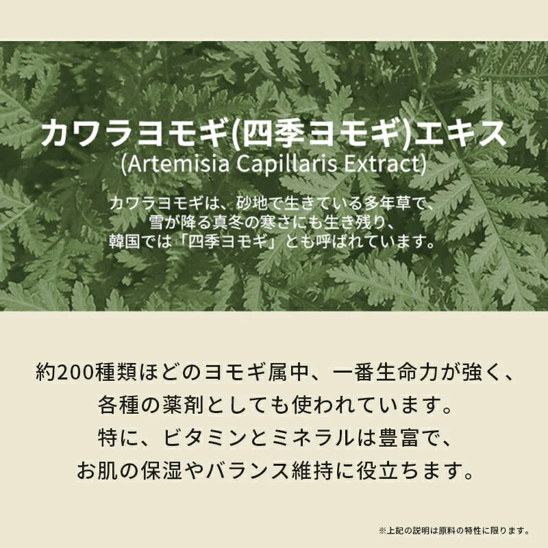 【ヨモギエキス】化粧水 スキントナー 150ml ザワン カワラヨモギエキス ドクダミエキス 原液 リズリー ローション 保湿 ヨモギ 赤み 角質 肌あれ 乾燥 頭皮 ケア ヴィーガン ビーガン コスメ 韓国コスメ LIZLY 定形外 送料込み