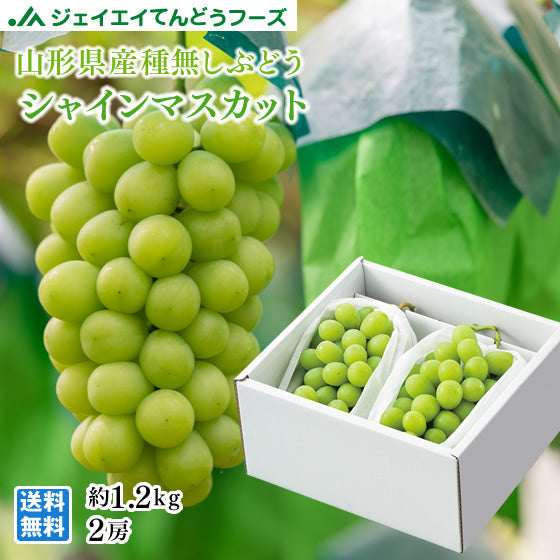 【お買得】山形県産シャインマスカット2房入り(約1.2kg)