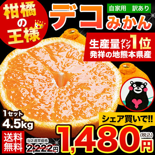 訳あり デコみかん 4.5kg 送料無料 不知火 みかん ミカン 熊本県産 訳あり デコポン と同品種 熊本 柑橘 目玉商品 くまもと風土《3月末頃～4月中旬頃より発送予定》【特産品・ご当地特集】【家計お助けSALE】