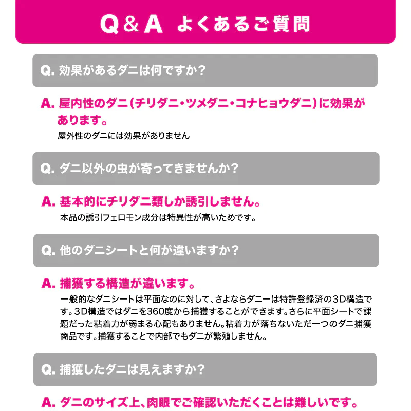 さよならダニーWEB限定5個セット