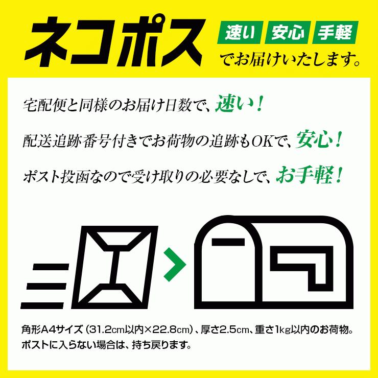 マジックファイヤー付  ミニ プチ キャンプファイヤー セット