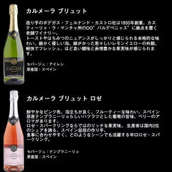 【最安値挑戦祭】【送料無料】金賞・シャンパーニュ製法入り 辛口スパークリングワイン 12本セット［常温］【4〜5営業日以内に出荷】[W][S]