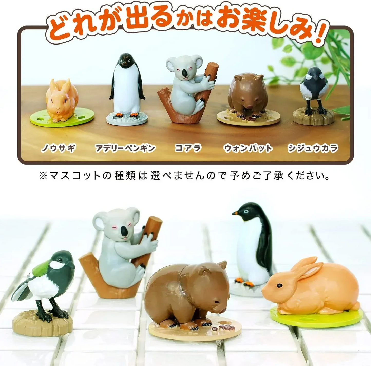 【超得ハイパーSALE】3個セット　バスボール　ざんねんないきもの事典 　グレープフルーツの香り