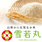 米 10kg 令和4年産 山形県産 雪若丸10kg(5kg×2)【最安値に挑戦】