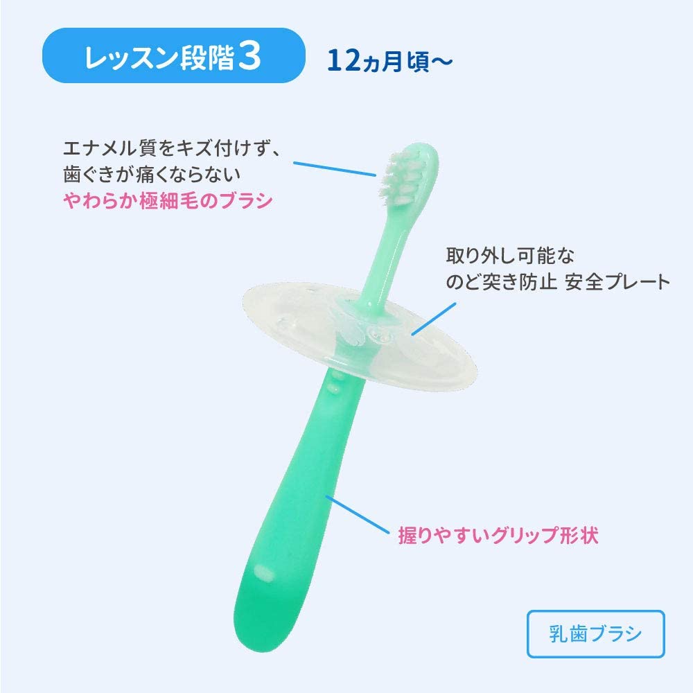 ピジョン 乳歯ブラシ 2本入 12か月~ グリーン