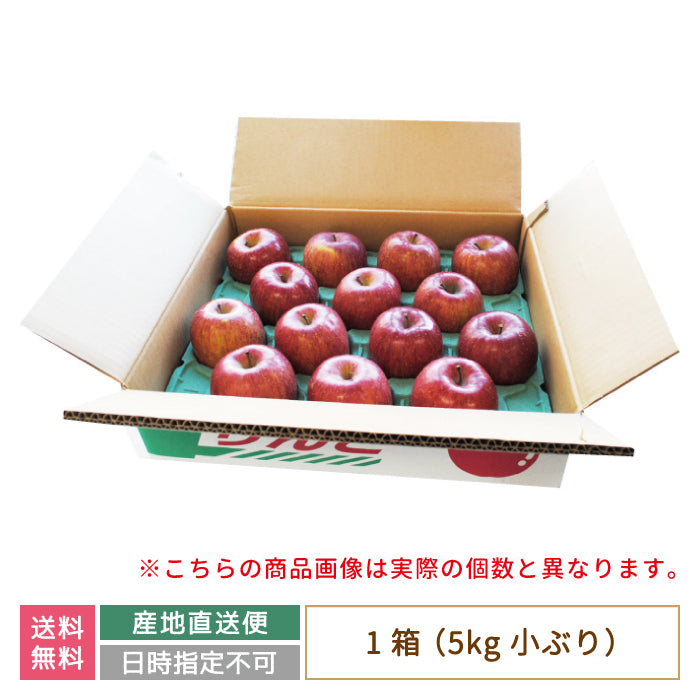 福島県産 サンふじりんご 5kg 小ぶり (18玉入り) *
