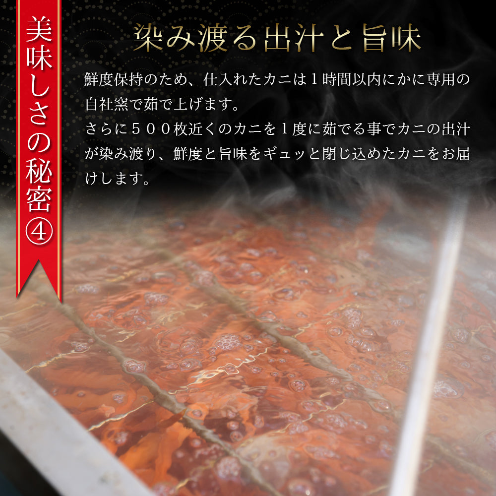 【鳥取県・境港産】【訳あり】紅ズワイガニ（中）【450ｇ前後×5枚】【総重量２㎏】