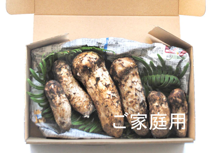 奥会津・山形産 松茸 つぼみ 200g (3～4本) * (クール便)【特産品・ご当地特集】