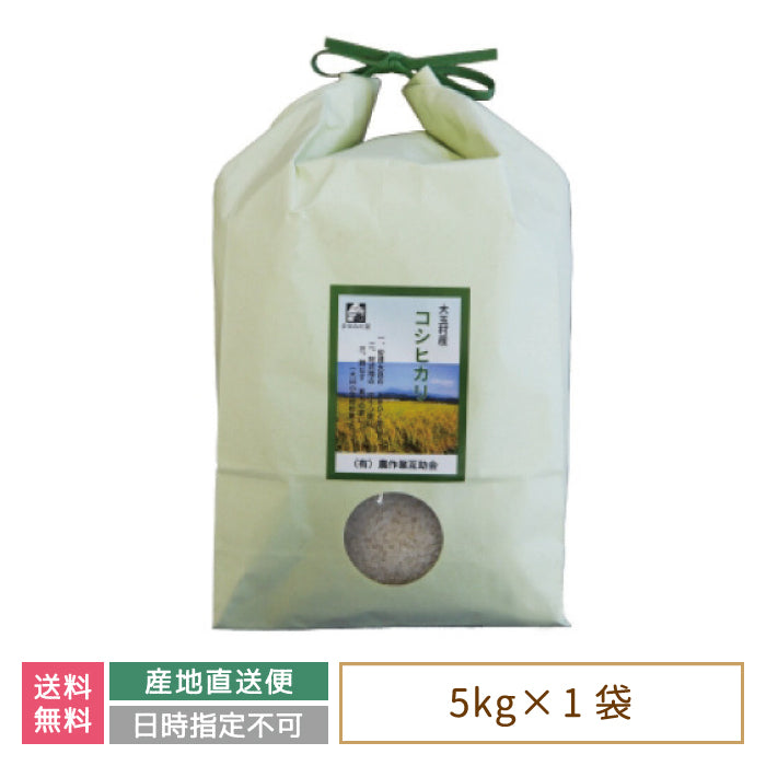 【令和4年産】【農業生産法人　農作業互助会のお米】 コシヒカリ5kg *