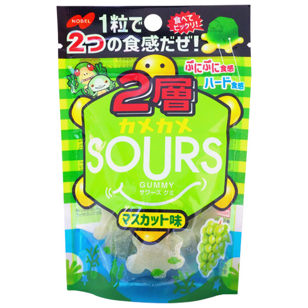 【たっぷり5個！】ノーベル 2層 カメカメサワーズ グミ マスカット味 45g　※