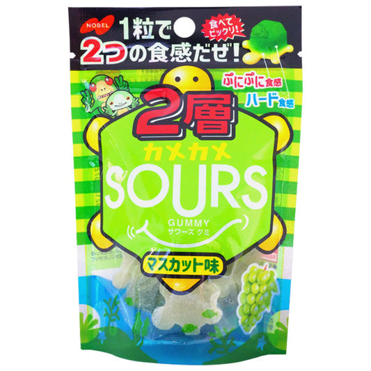 【たっぷり5個！】ノーベル 2層 カメカメサワーズ グミ マスカット味 45g　※