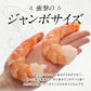 ブラックタイガー むき海老 ジャンボサイズ 1kg［冷凍のみ］【送料無料】【4～5営業日以内に出荷】