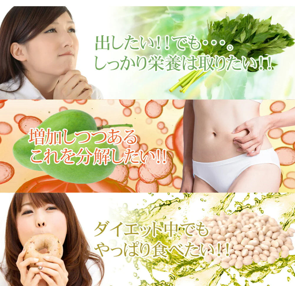 明日葉＆アフリカマンゴノキエキス＆白いんげん豆エキス《3ヶ月分》サプリメント ダイエット エラグ酸  ファビノール【ゲリラセール】