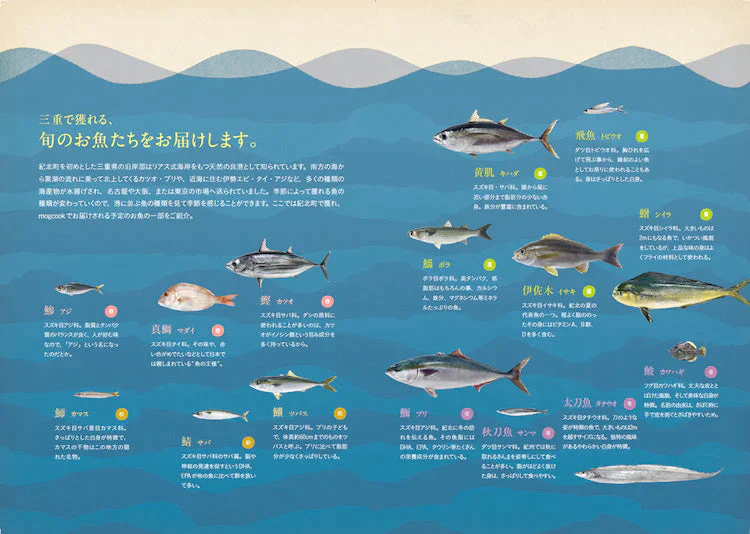 【離乳食初期（5ヶ月）〜】mogcookのお魚離乳食 はじめてのお魚コース10g×15パック（お魚3種類）